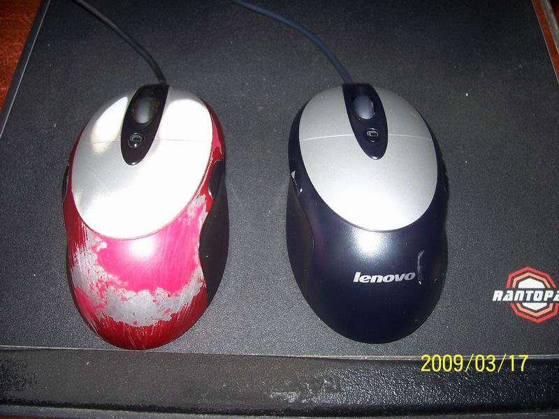 ������ô�ҵ�MXʬ����