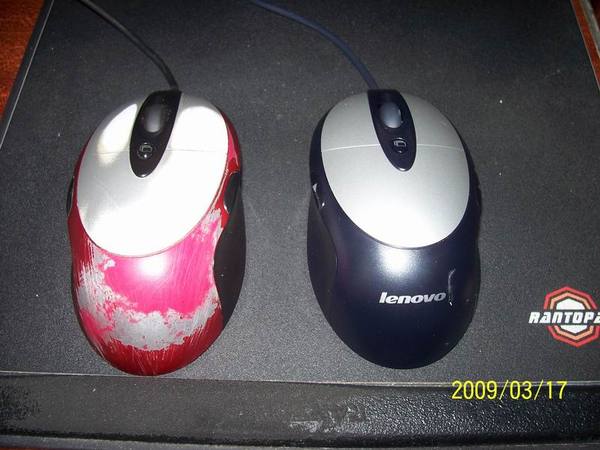 ������ô�ҵ�MXʬ����