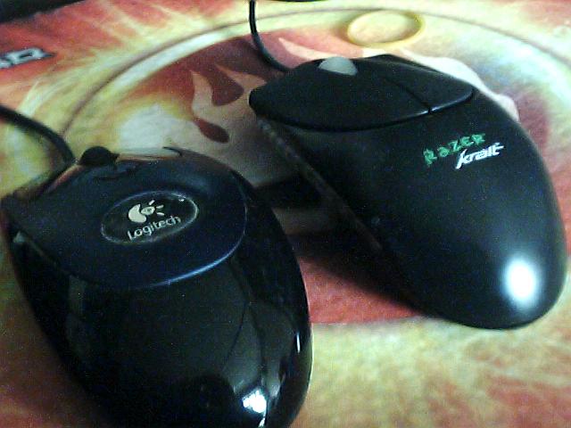 ���ھɵ�����