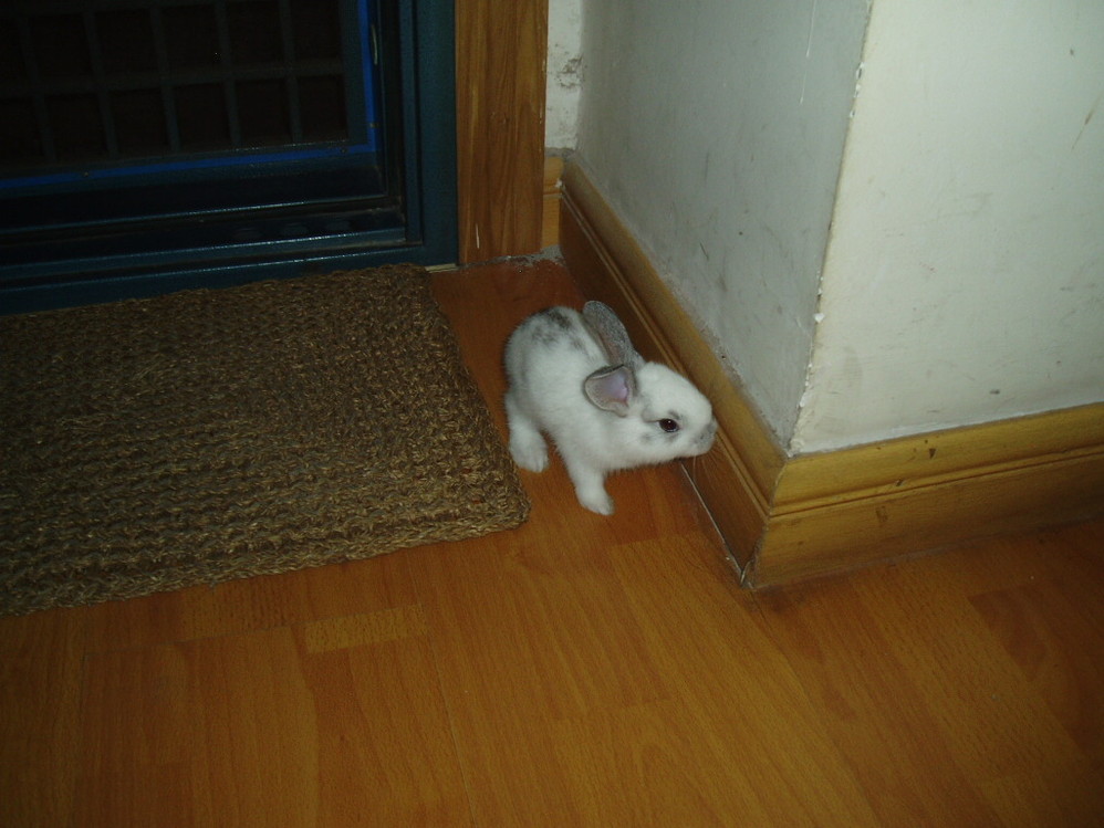 1200193_63503777.jpg