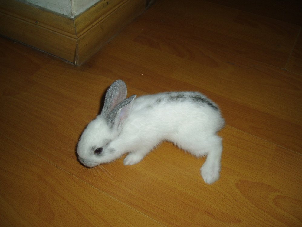 1200193_63503456.jpg