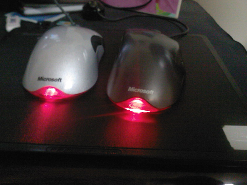 ��Ʒ��ũ��ƭ�֣��� ��С�����µ�������SE��