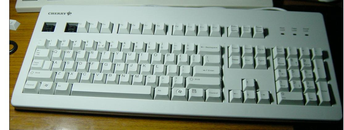 ż��ϲ����ɫ�ļ���