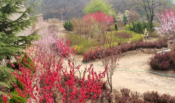 ���ջ����ɽ֮��...19P...