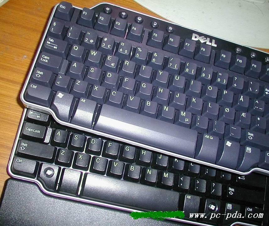 BigBull_jf16ueyo16ofim.jpg