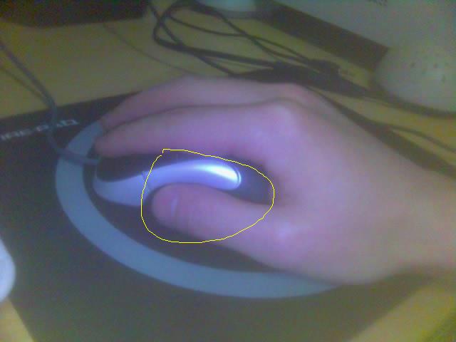 ����һֻ��ץ���������