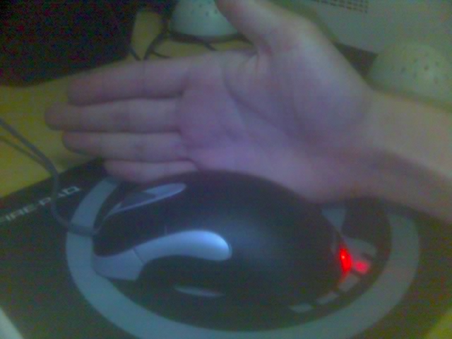 ����һֻ��ץ���������