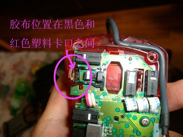 20090306.jpg