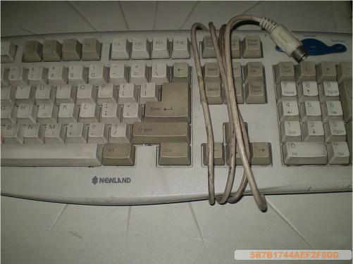 {B2A14E1E-45C0-45AD-91E7-D693C2ABFB84}.jpg