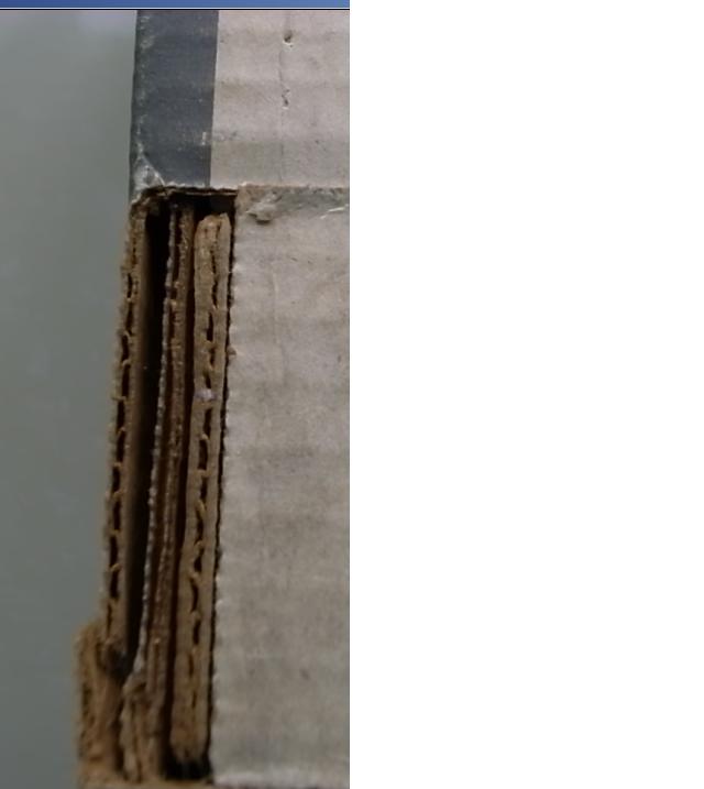 ǿ��Ľ������� IBM MODEL F ���估������--�������