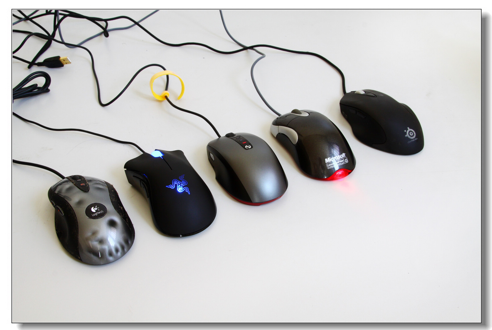 ��2���ĵã�����������â��һ�ڡ���SS&SP