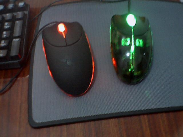 �Ա������ɫ������β�����ҵ������3G�Ŀ� :D