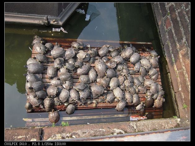 �ط�����ͼ���͸�xln1120