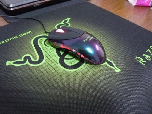 ���յ����ܷ�Razer��β�ߡ���ɫ������