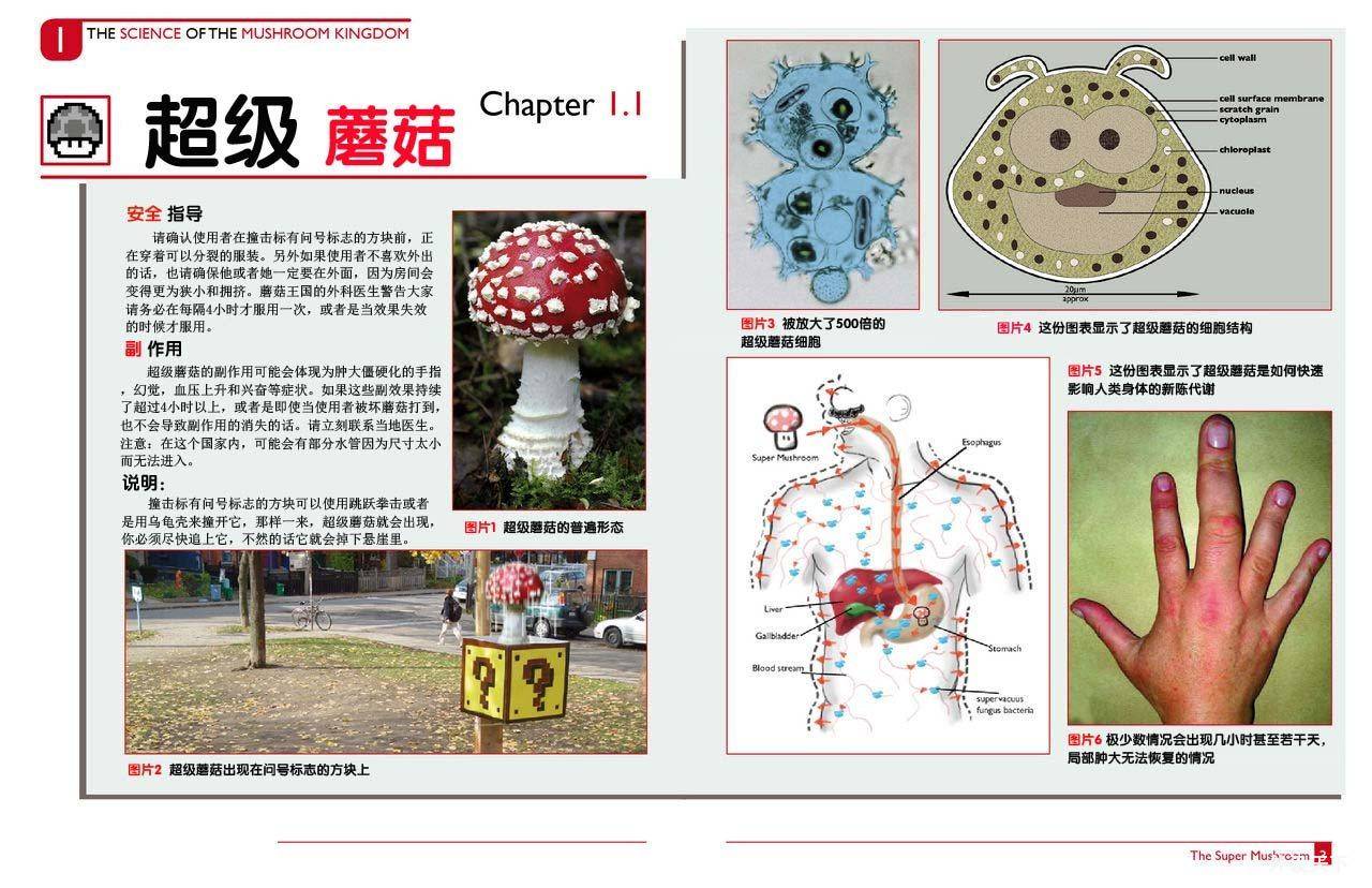 20090506145412954.jpg