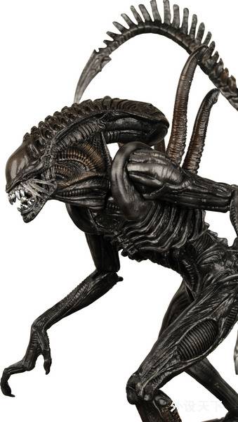Avp2Alien.jpg