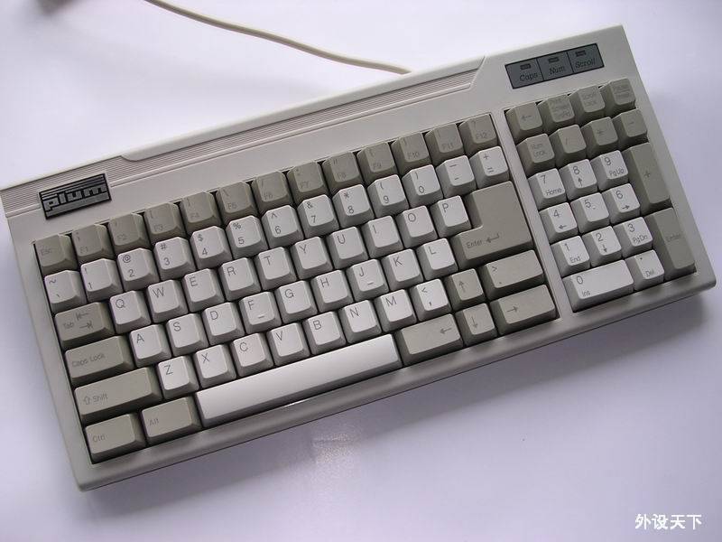 PLUM.jpg
