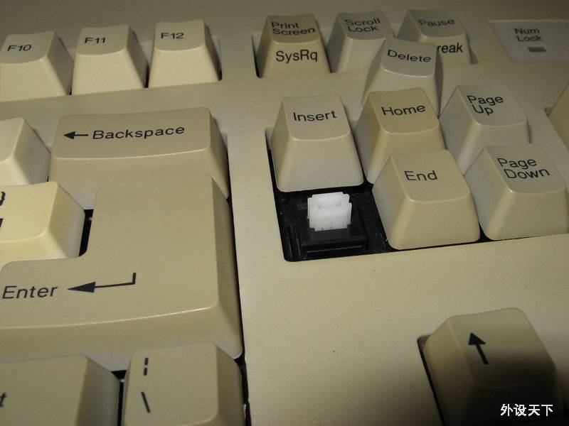 ⱲӼǹ