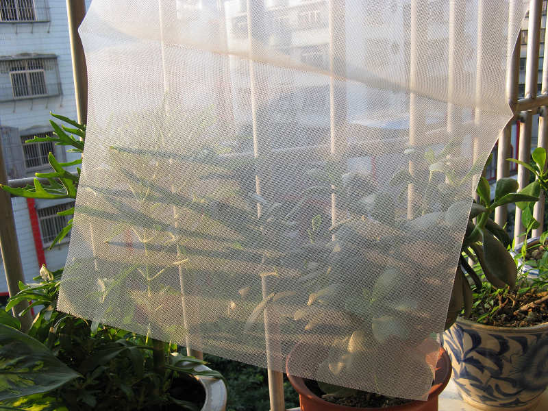 ����DIY��˳����������