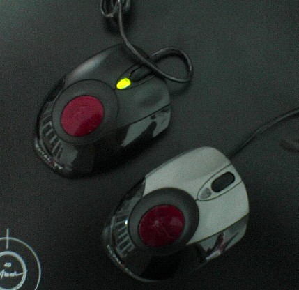 ˭֪���������ɶ���֣�