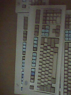 IMG0046A.jpg