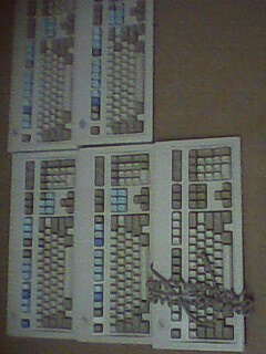 IMG0045A.jpg