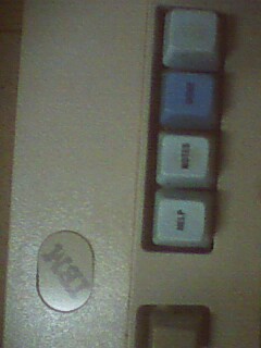IMG0049A.jpg