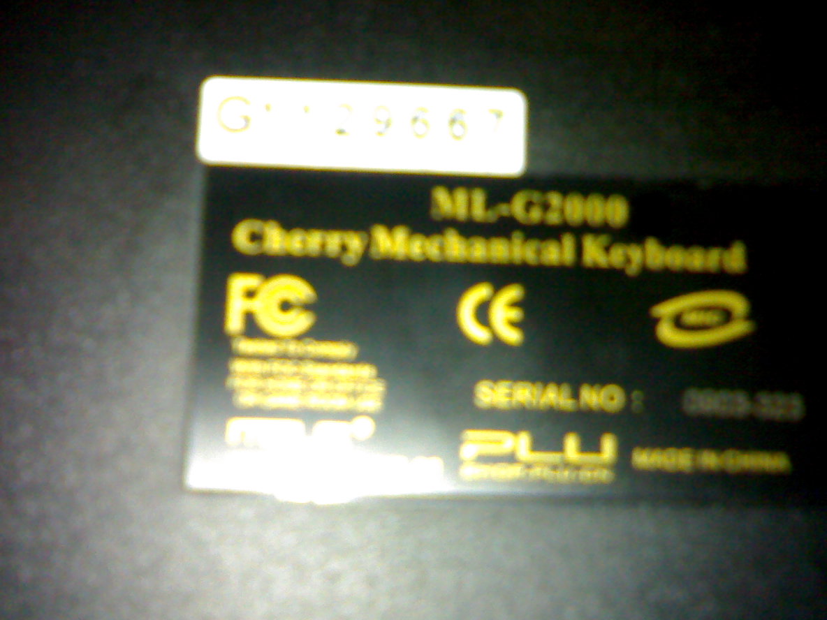 14062009004.jpg