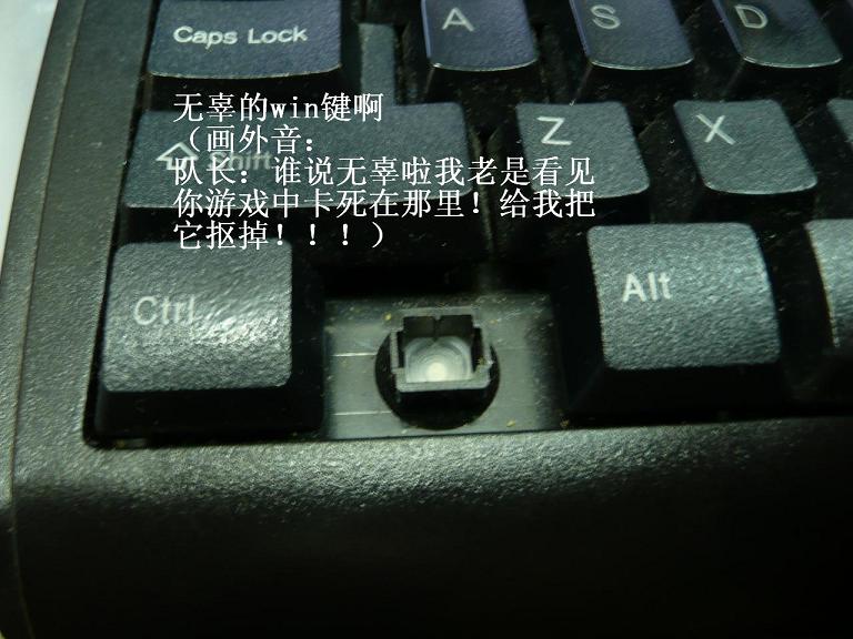 뾡BSҰɣ8135(20Lĵ~28Lͼ~~~)