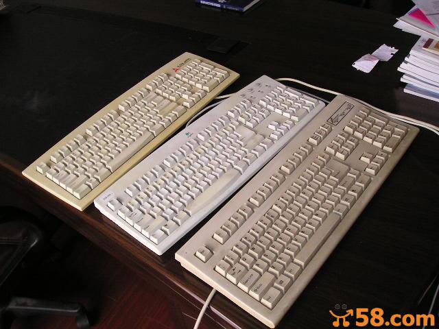 F20090323259053.jpg