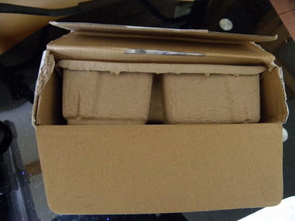 ������С P6190158.JPG