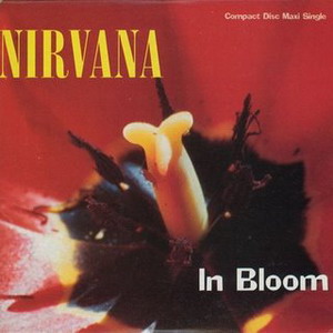 25.In Bloom(Single).jpg