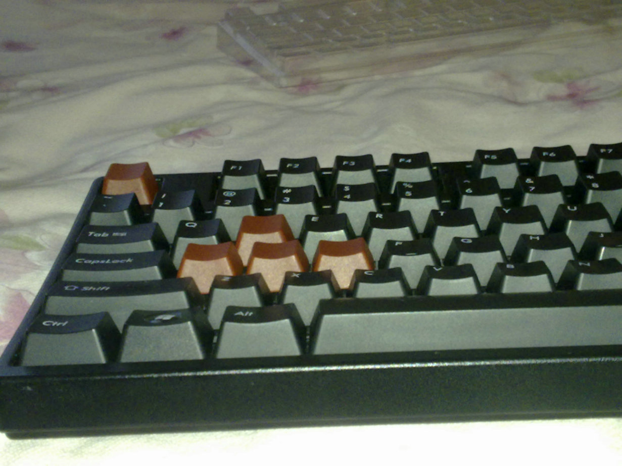 20090622037.jpg