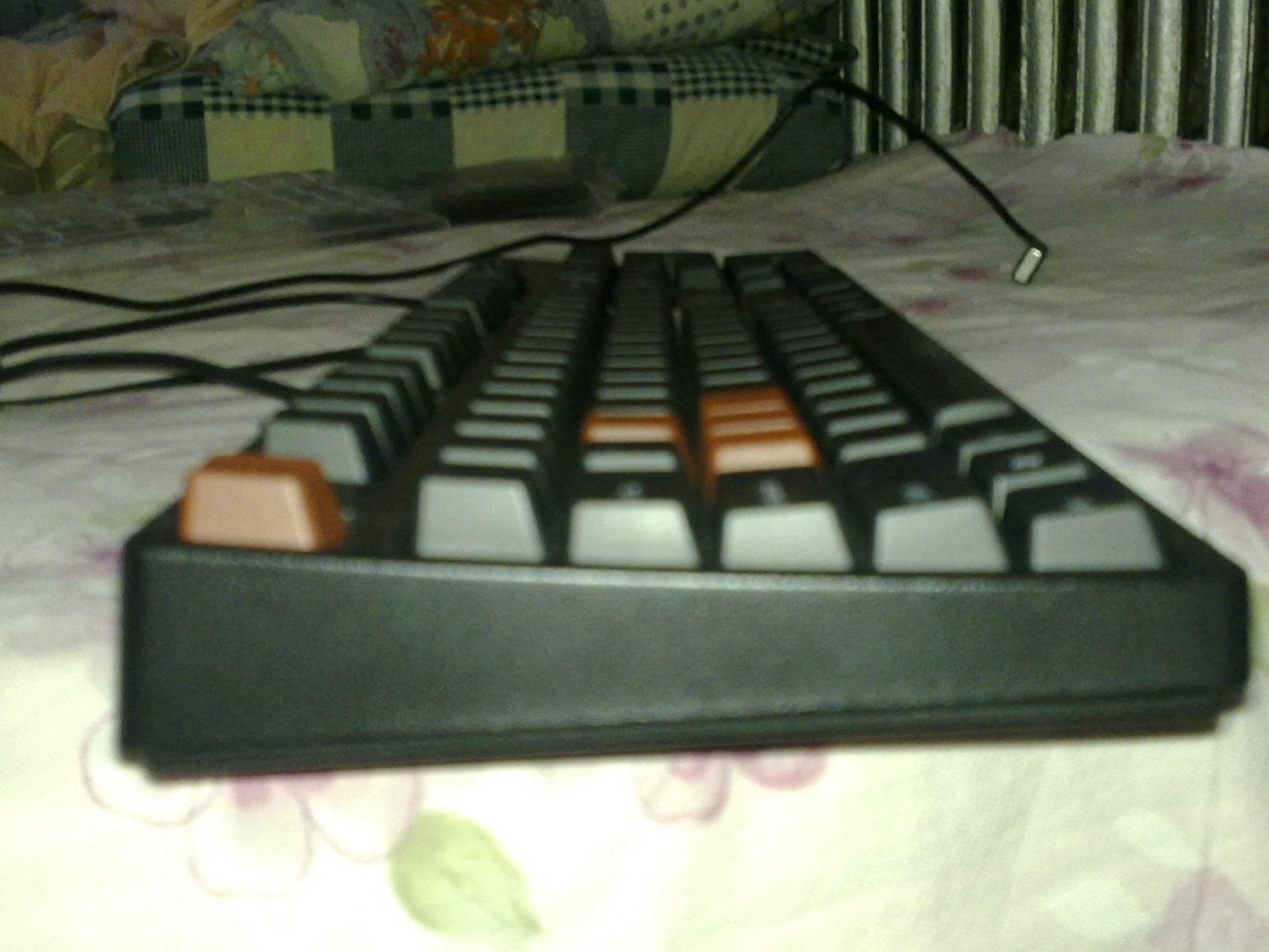 20090622038.jpg