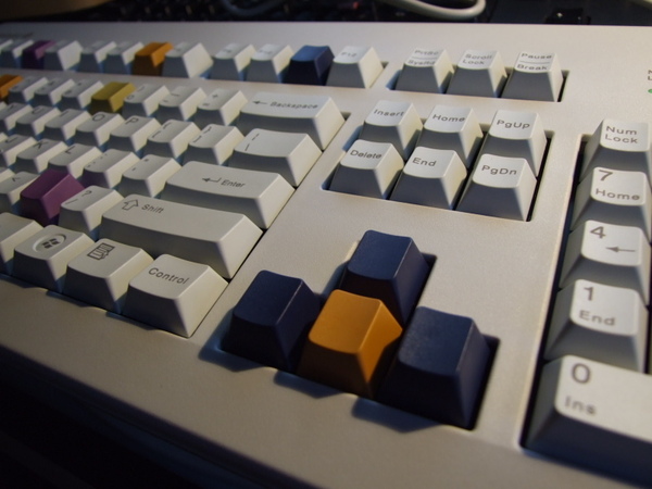 �������ְ��࣬��ӵ͵����޿̲�ð