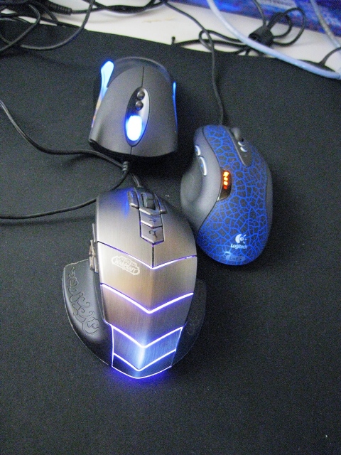 �ҵ���� ��һ����ʲô�أ�