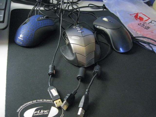 �ҵ���� ��һ����ʲô�أ�