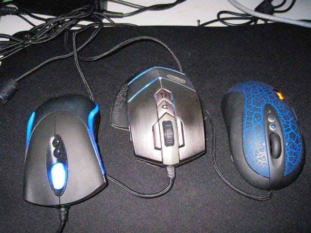 �ҵ���� ��һ����ʲô�أ�