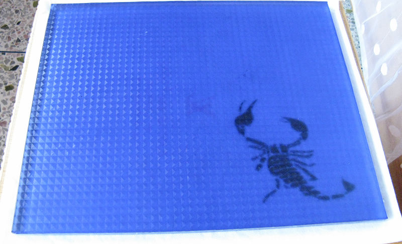 �����Ĳ�����DIY������������