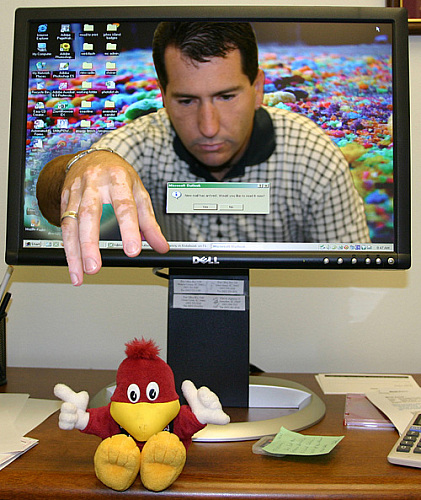 129874952978745_c.jpg