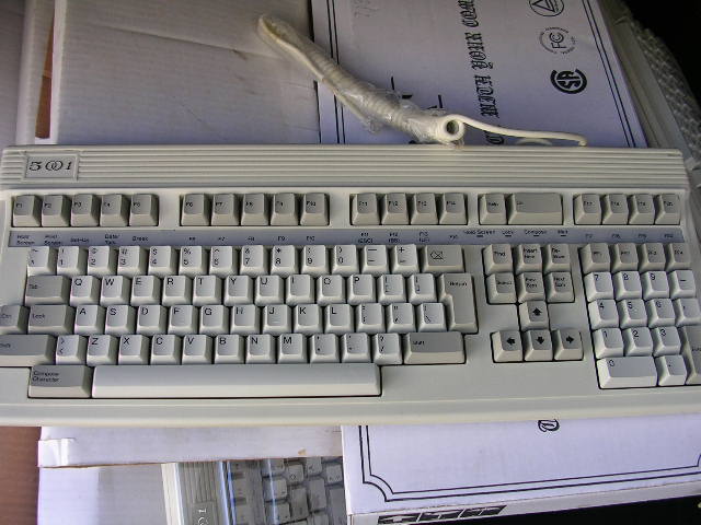 ����￴���ҵ��ջ�