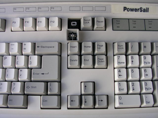 ����￴���ҵ��ջ�