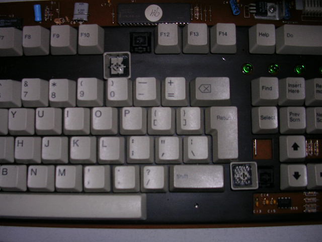 ����￴���ҵ��ջ�