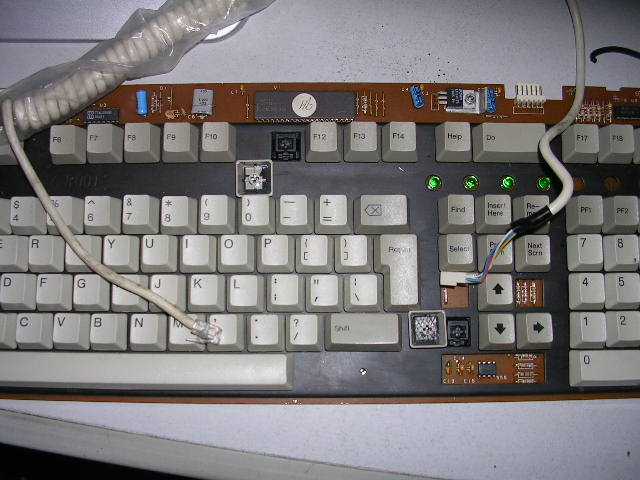 ����￴���ҵ��ջ�