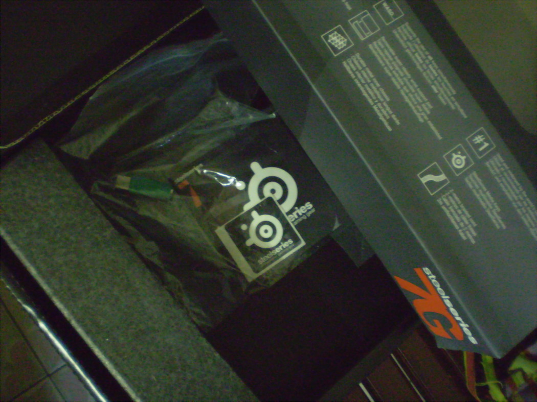 P1010002.JPG