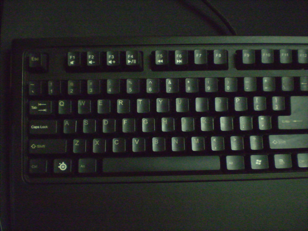 P1010005.JPG