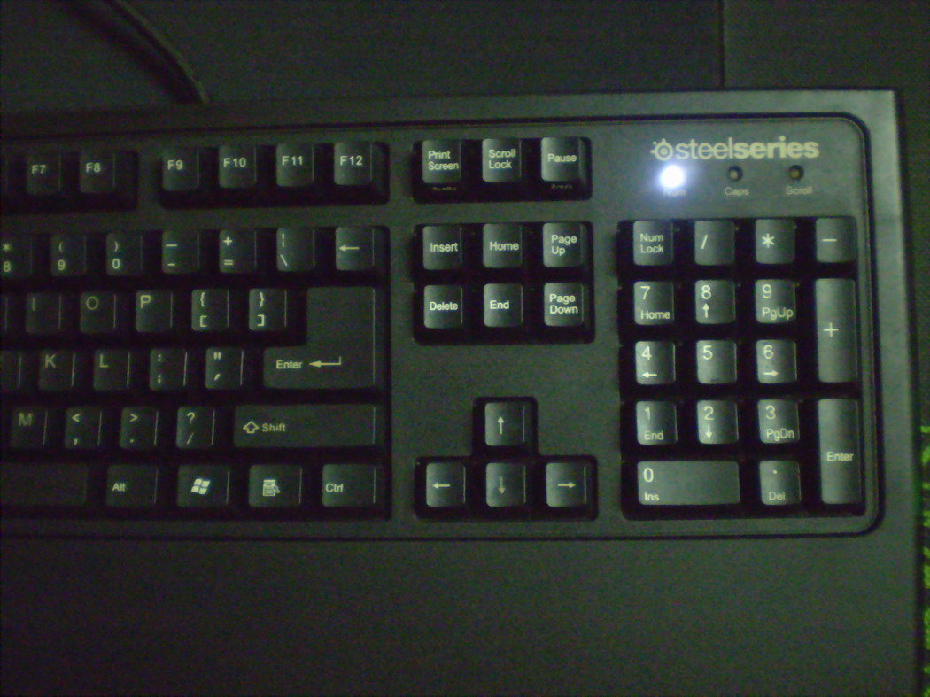 P1010004.JPG