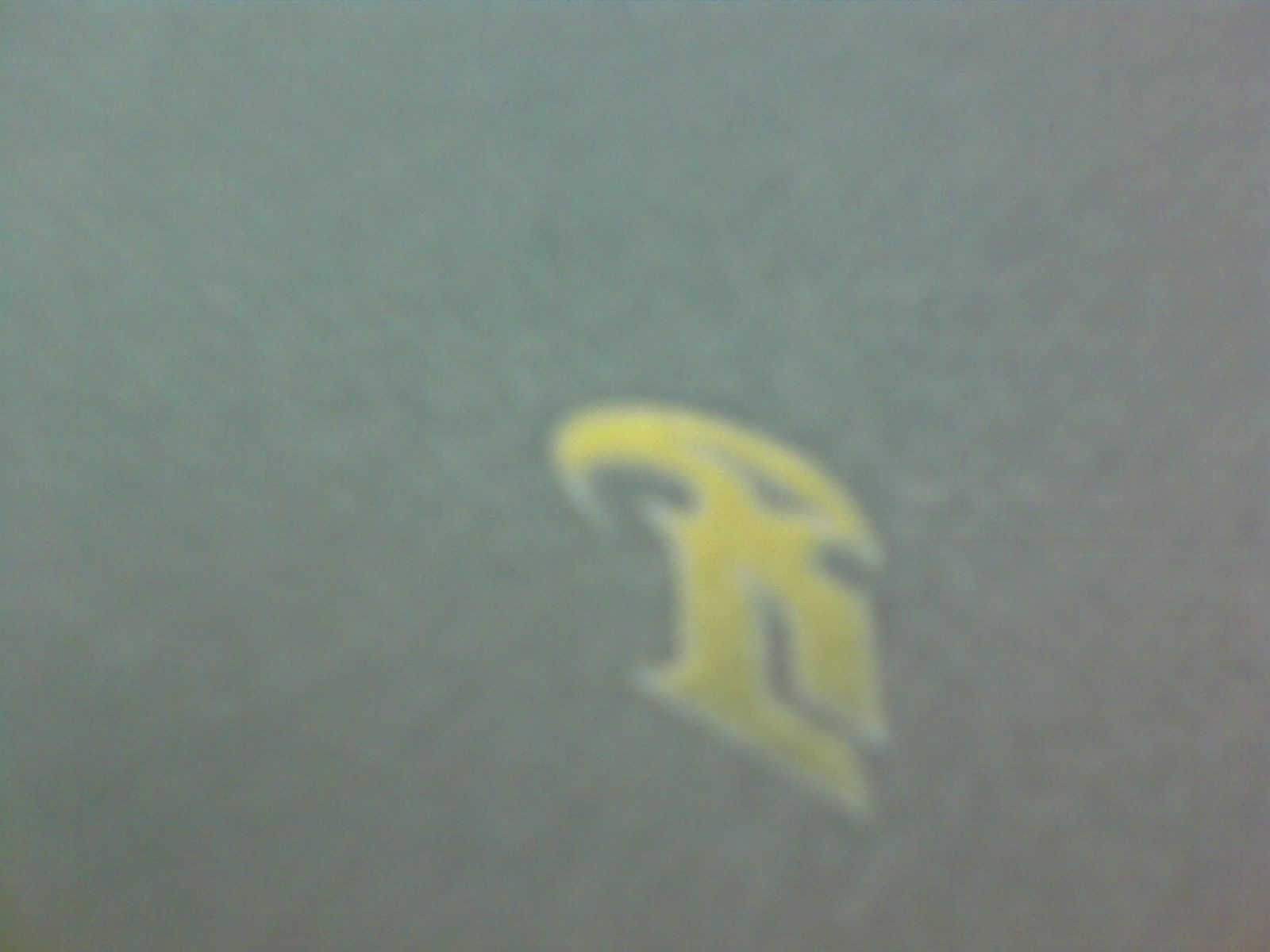 ��֪������ʲô��˼����