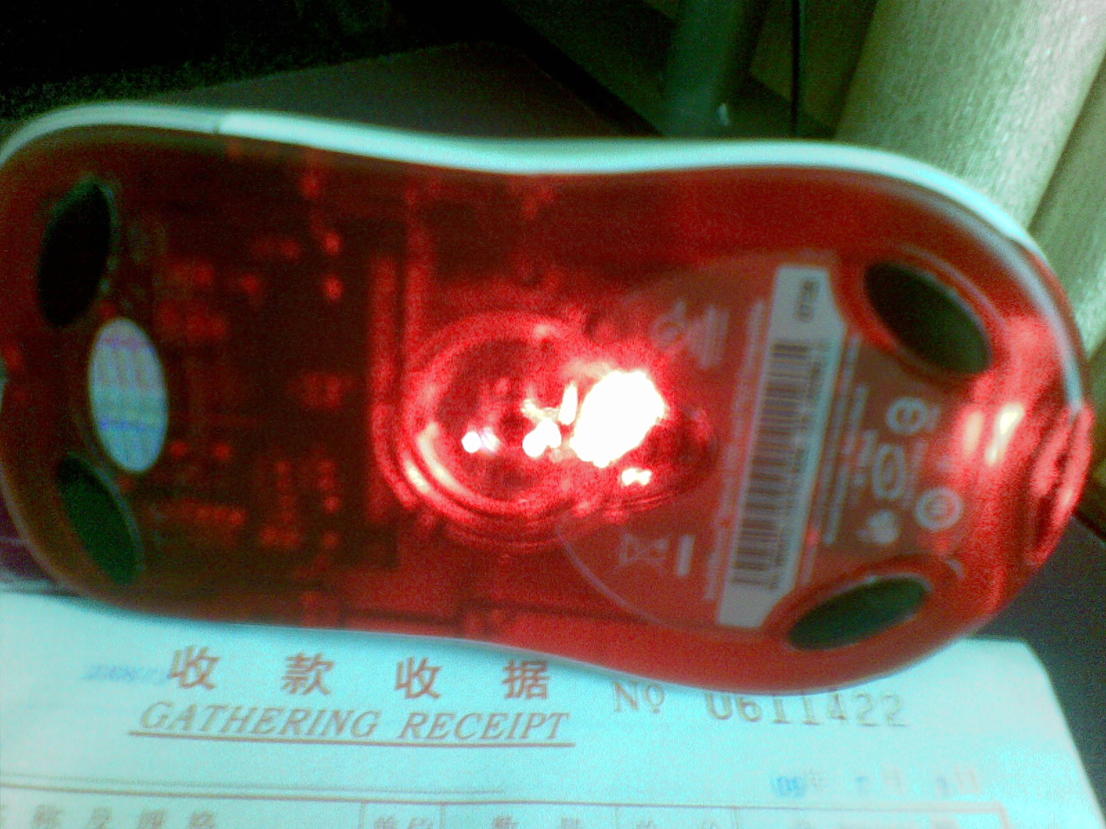 20090717.jpg