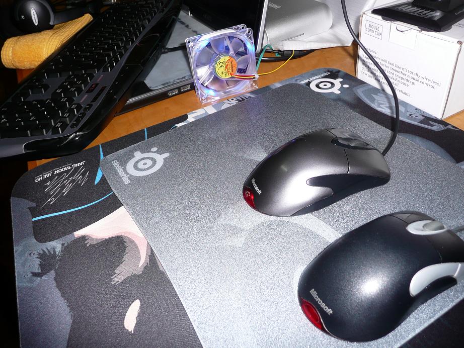 �۽�����ù������º�ɥʧԭ���ָк�ģ�SP��cs��ʵ���Եķ������Ѳ�����ͼ��